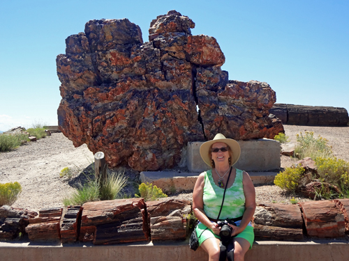 Karen Duquette at the base of Old Faithful in the Petrified Forest